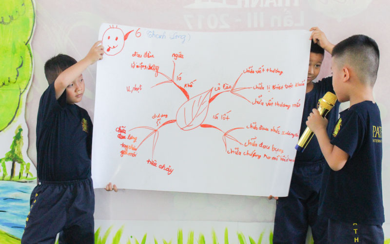 Ứng dụng bản đồ tư duy Mindmap
